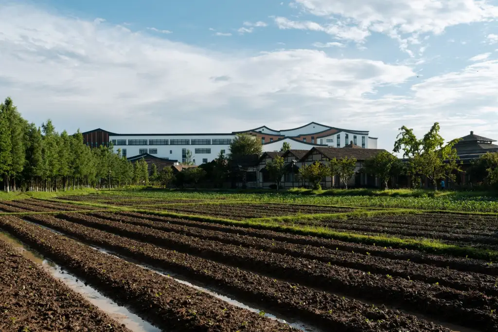 全热交换器与普通新风设备对比：重庆商用空间如何选择高效换气方案