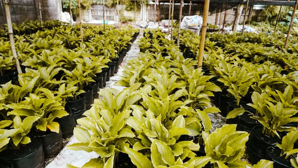 重庆春艺思全热交换器技术参数对比与选型指南