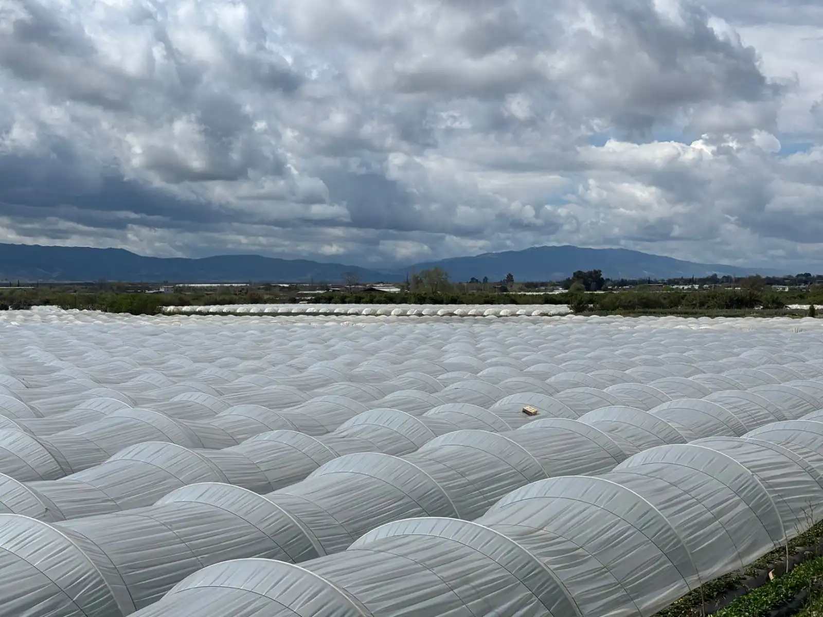 重庆新风系统与全热交换器在住宅装修中的协同安装要点